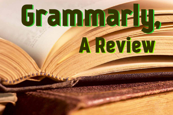 grammar and plagiarism checker software